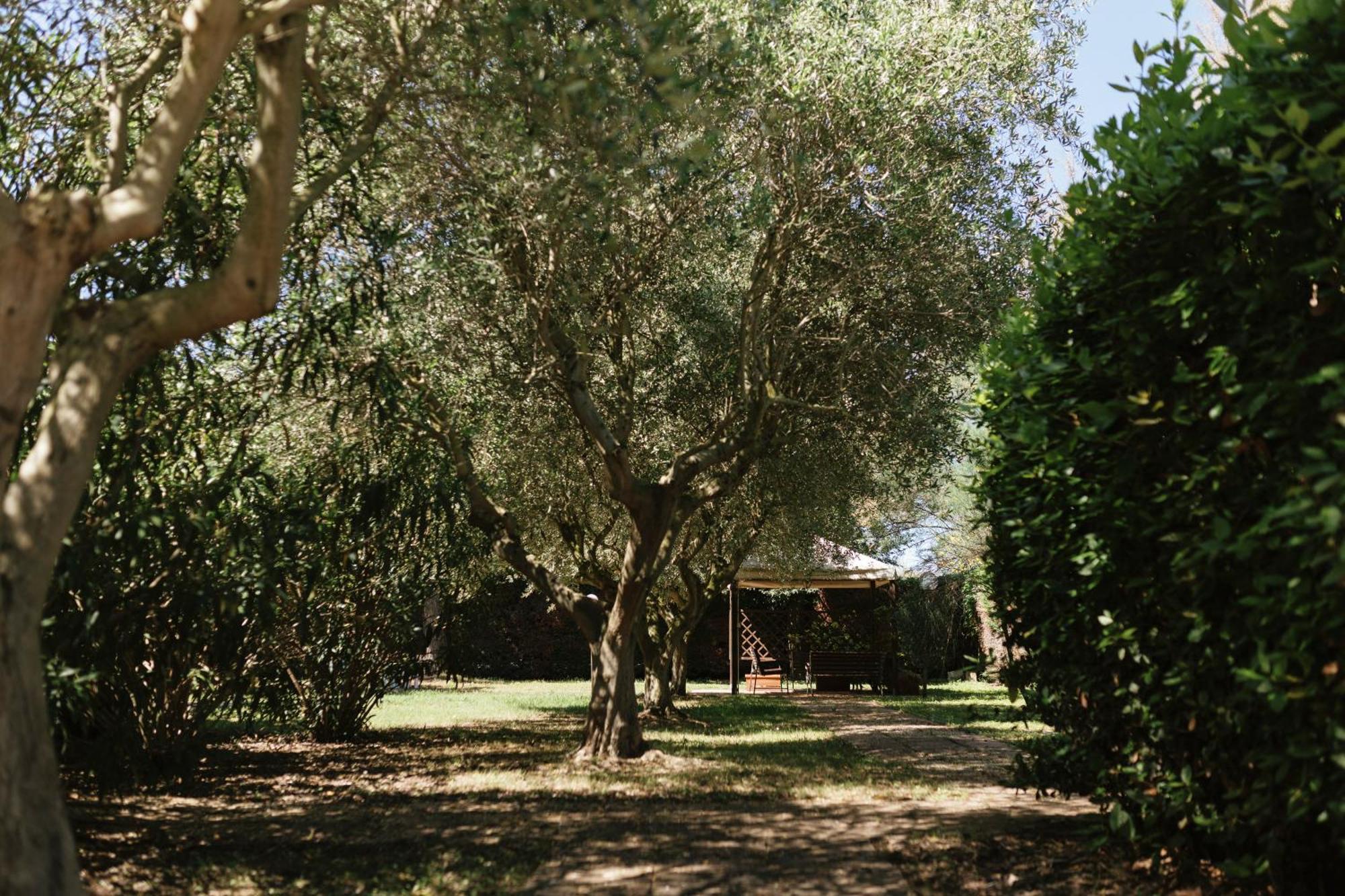 Villa Chiara Porto Recanati Eksteriør billede